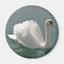 Search for bird wedding magnets Cute