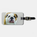 Search for bulls travel accessories Cute