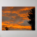 Recherche de ensemble du soleil art Arbre