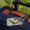 Recherche de pêcheur bagages étiquettes Truite arc en ciel
