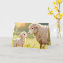 Search for for any holiday cards Mother