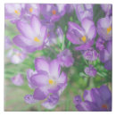 Search for crocus tiles Purple
