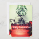 Search for dog walker christmas cards Puppy