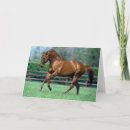 Recherche de étalon sauvage vœux cartes Cheval