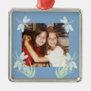 Search for dragonfly ornaments Watercolor