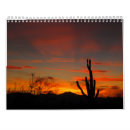 Recherche de tucson Saguaro