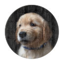 Search for labrador cookware Cute baby animal