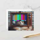 Search for kitty face postcards Funny