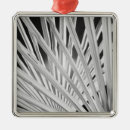 Search for palm trees ornaments Black