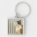 Search for next keychains Indoors