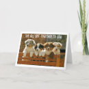 Search for breeders cards Veterinarian