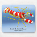 Search for shrimp mousepads Prawn