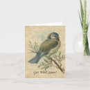 Search for bluetit Get well soon