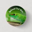 Recherche de gecko badges Faune