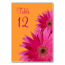 Search for fuchsia gerbera Floral