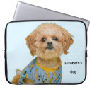 Search for for her laptop cases Colorful