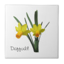 Search for daffodil tiles Yellow