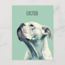 Recherche de chien boxer cartes postales Amoureux des chiens