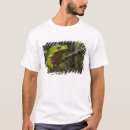 Search for rain forest clothing Amphibian
