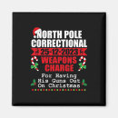 Search for correct magnets Xmas