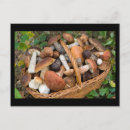 Recherche de comestible cartes postales Forêt