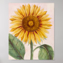 Search for happy sunflowers posters Summer