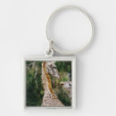 Search for giraffe image keychains Nature