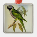 Recherche de perruches ornements Oiseaux