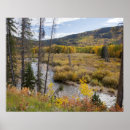 Search for provo posters Colour
