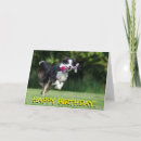 Recherche de border collie anniversaire cartes Drôle