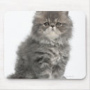 Recherche de mois tapis souris Nature