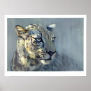 Search for pardus posters Spotty
