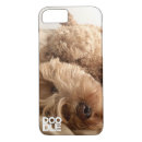 Search for labradoodle iphone cases Puppy