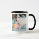 Search for down home mugs Playful