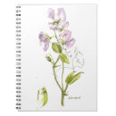 Recherche de pourpre de fleur carnets Botanique