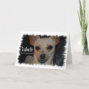 Search for vet cards Doctor