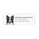 Search for collie return address labels Cute