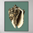Recherche de mer turquoise posters Plage