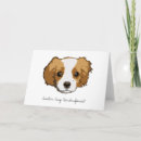 Search for ckcs cards Cute