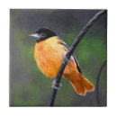 Recherche de peinture portrait carreaux Oiseau