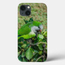 Recherche de perroquet iphone coques Animal