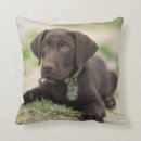 Recherche de chocolate labrador retriever pillows Mignon