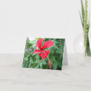 Search for environment cards invites Beauty