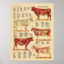 Search for organic farming posters Cow