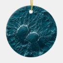 Recherche de bactéries ornements Microbiologie