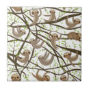 Search for sloth tiles South america