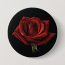 Search for red petal buttons Roses