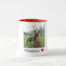 Recherche de bulldogge tasses Pour animaux