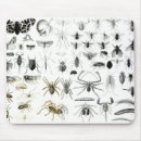 Recherche de entomologie tapis souris Papillon