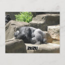 Search for digital animals postcards Photography
